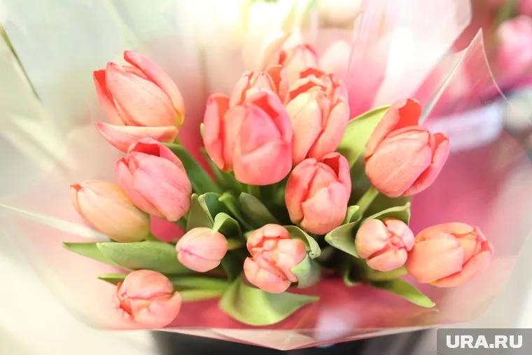 В прошлом году максимальная стоимость тюльпанов по городу составляла 99 рублей за штуку