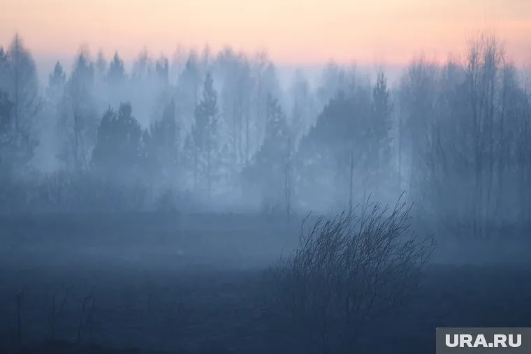 В Кургане усилился запах гари