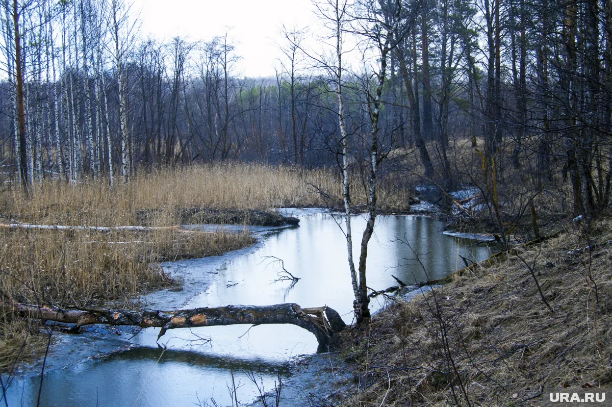 Плата за охотничьи угодья вырастет в два раза