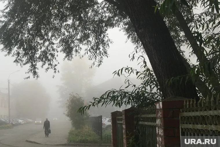 Дожди и пасмурная погода не избавят Челябинск от изнуряющей жары