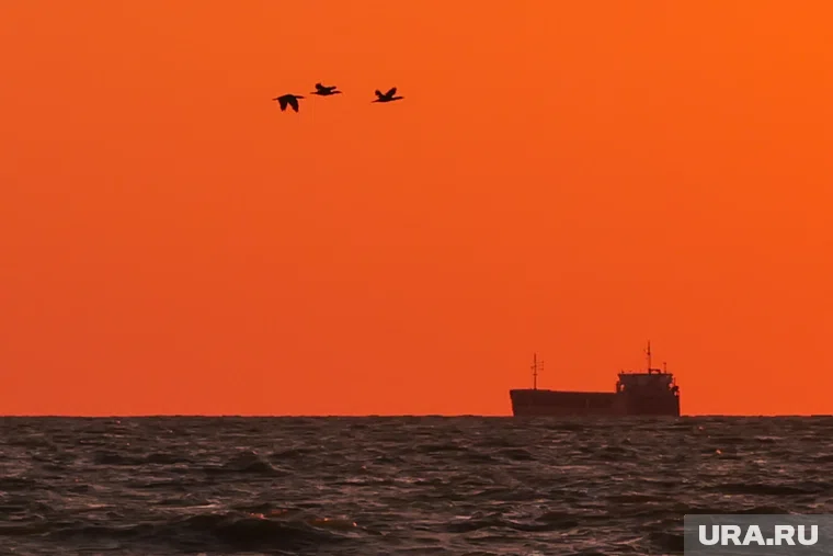 США остановили в Карибском море танкера Bella 1