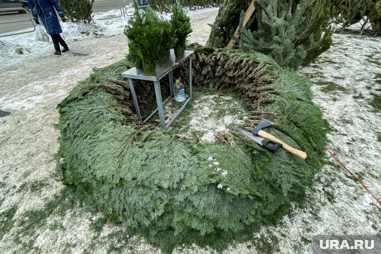 Елочные базары в Челябинске будут работать с 13 по 31 декабря