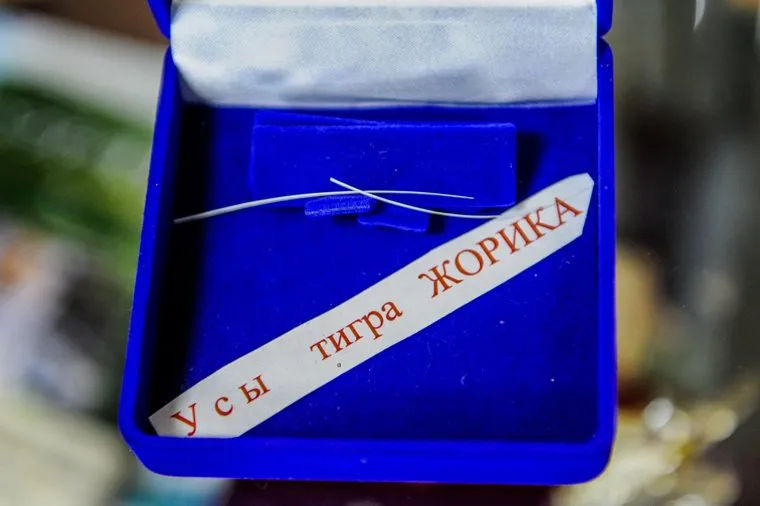 Приют диких животных «Спаси меня» Карена Даллакяна. Челябинск