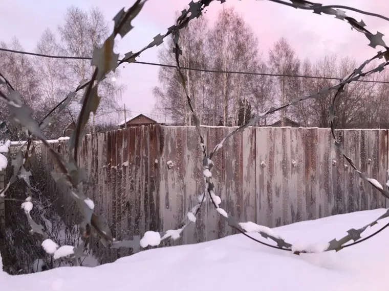 Скотомогильник ( НЕОБРАЬОТАННЫЕ)