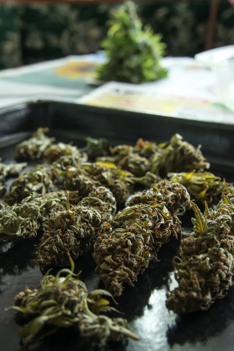 Клипарты. Сургут