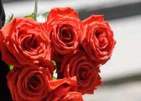 Пермякам рассказали, как выбрать стойкий букет на День матери с вау-эффектом