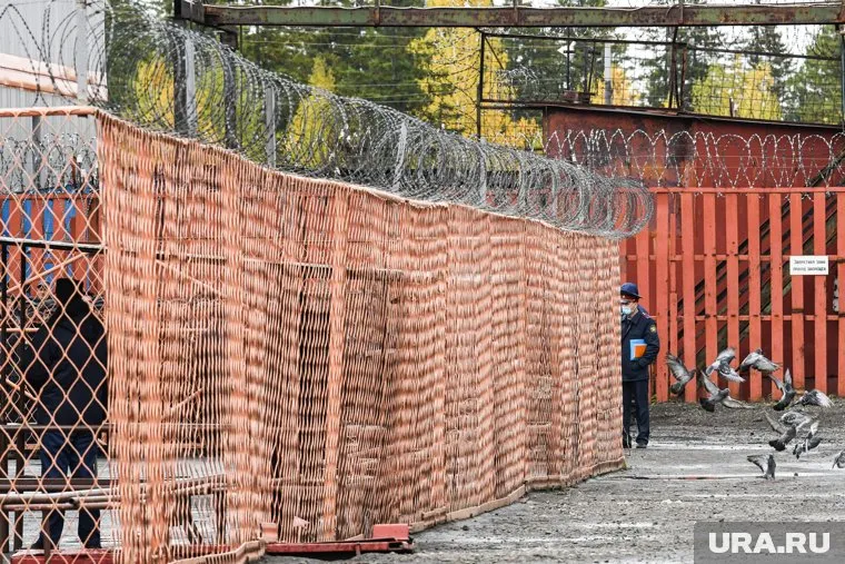 Все происходило в стенах колонии строгого режима