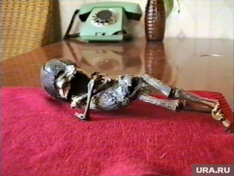 Похищение возможного пришельца навсегда сделало загадкой вопрос о его происхождении