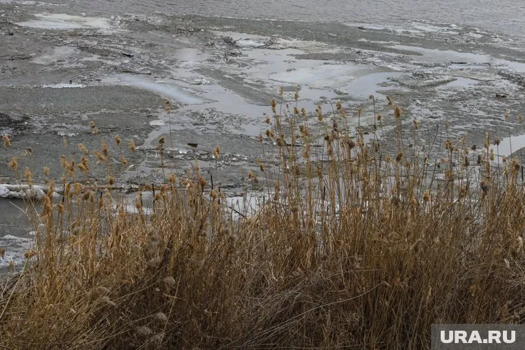 В поселке Искра жители заметили свалку на берегу озера Горькое, а в воде - сажу от котельной