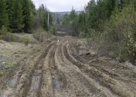 Грязной колеей в челябинском селе заинтересовались следователи