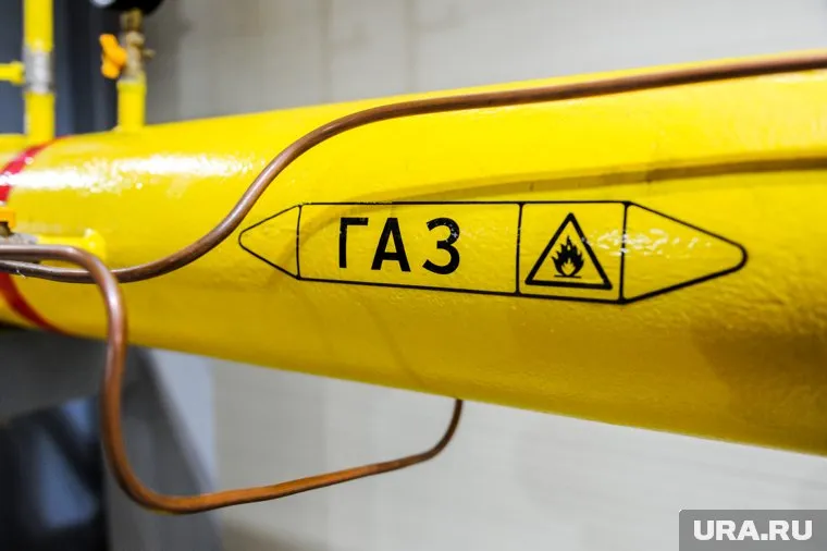 Главным импортером российского газа стала Испания