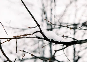 Екатеринбург накрыло снегом