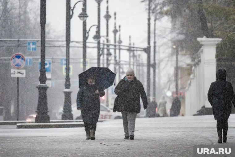 В Челябинске на 29 декабря снег не прогнозируется