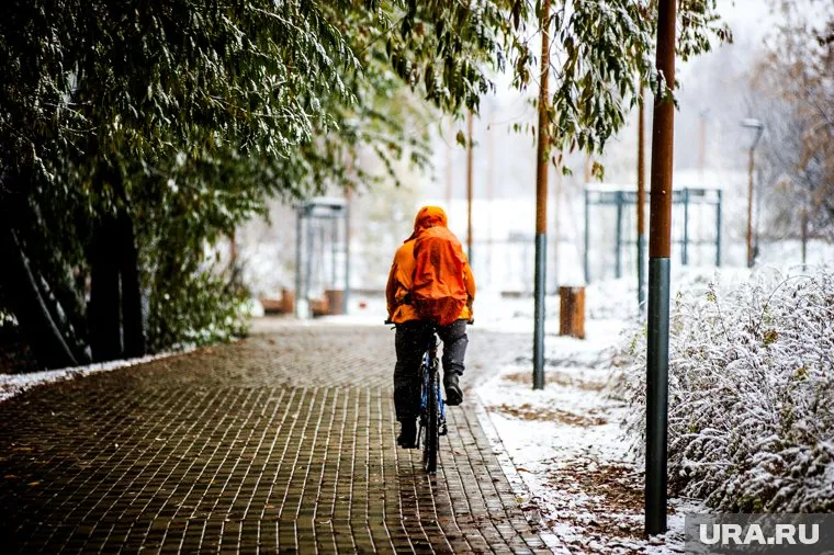 В первых числах ноября в регионе ляжет снег