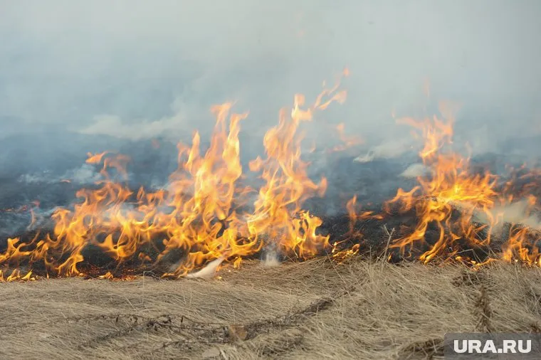 Жара спровоцировала лесные пожары в Челябинской области