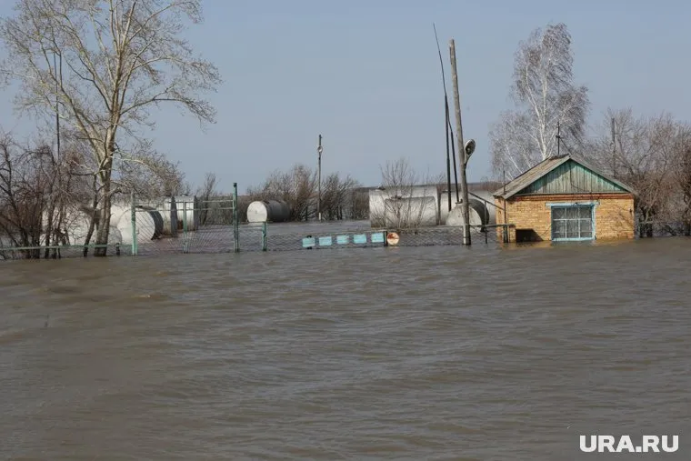 Уровень воды в реке Ишим в селе Абатское составляет 1191 сантиметр