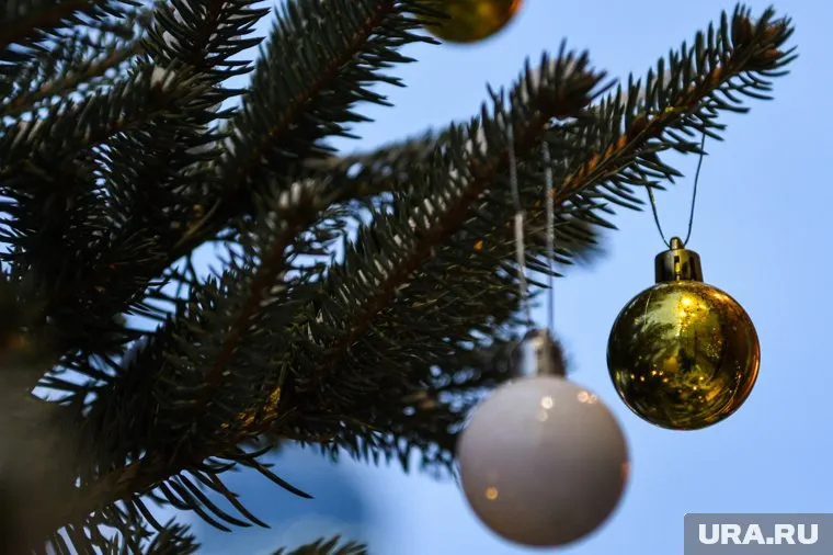 Елка главы города прошла без мэра