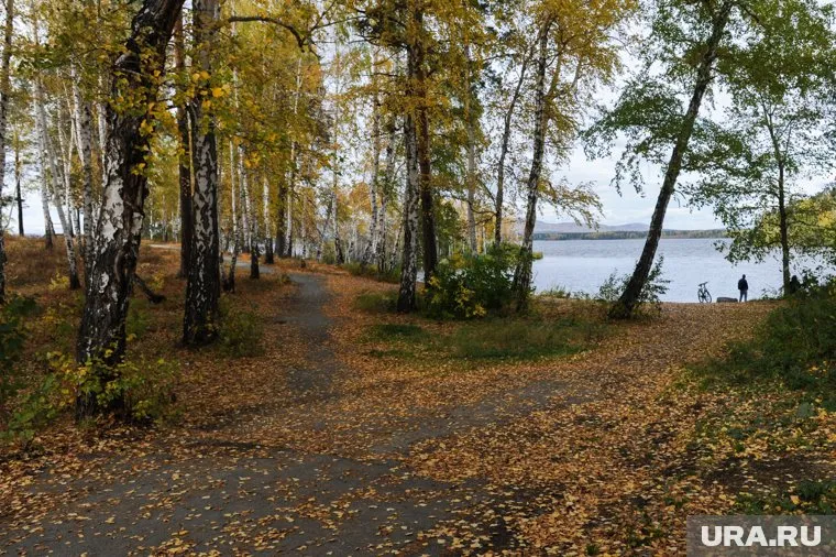Издревле ведьмины круги из грибов связывали с мистикой