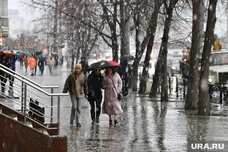 В Екатеринбурге выпали снежные осадки при плюсовой температуре