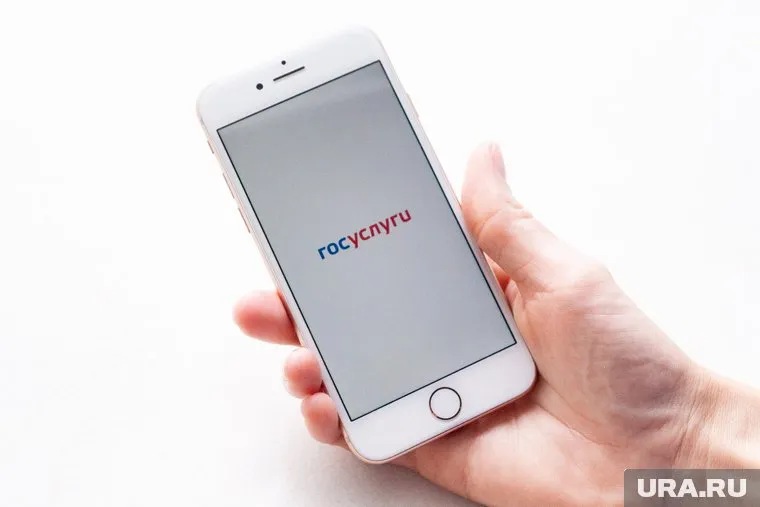 Глава Минцифры РФ хочет обезопасить пользователей портала госуслуг