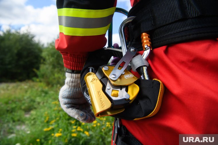 День волонтера 2025: лучшие картинки и поздравления для тех, кто делает добро 