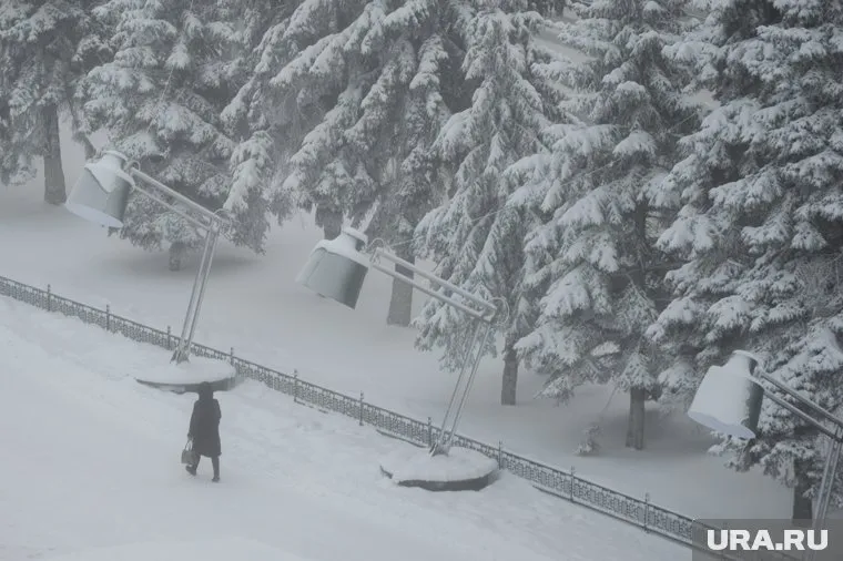 Порывы снежного ветра усилятся до 25 метров в секунду