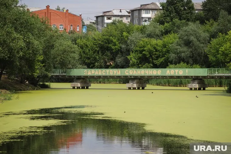 Расчистку Битевки областные власти оценили в 200 млн рублей