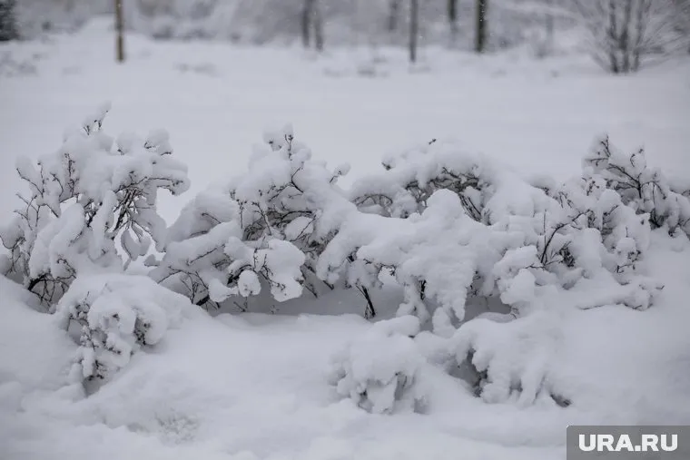 Снегопад накрыл Салехард и Новый Уренгой (фото из архива)