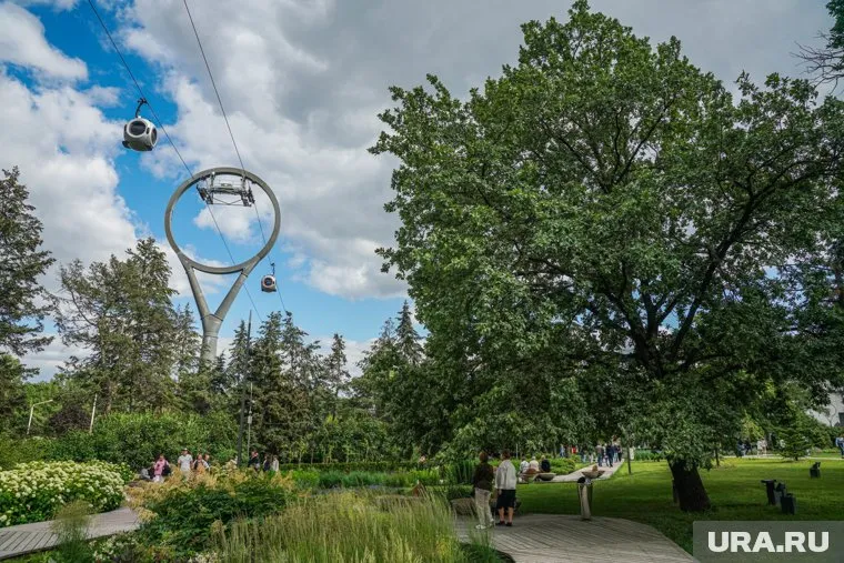 Канатная дорога с людьми обрушилась в Нальчике 8 августа