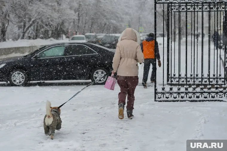 Днем 19 и 20 января на Ямале будет идти снег