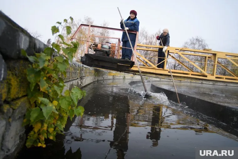 Жители Екатеринбурга требуют реконструировать очистные сооружения