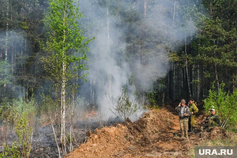 Из-за пожаров свердловские леса нельзя посещать до 10 июня