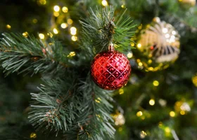 В Сургуте начали наряжать первые елки