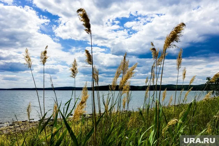 По данным СМИ, тело пропавшей было найдено в камышах