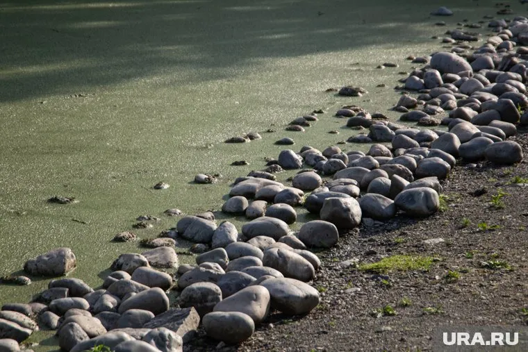 «Камень-шпион» нашли в раздевалке на пляже Подмосковья