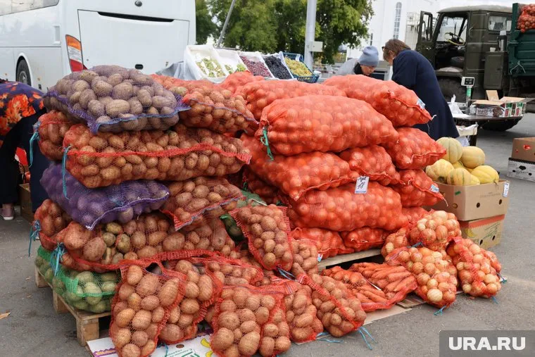 На незаконный рынок с картошкой жаловались жители