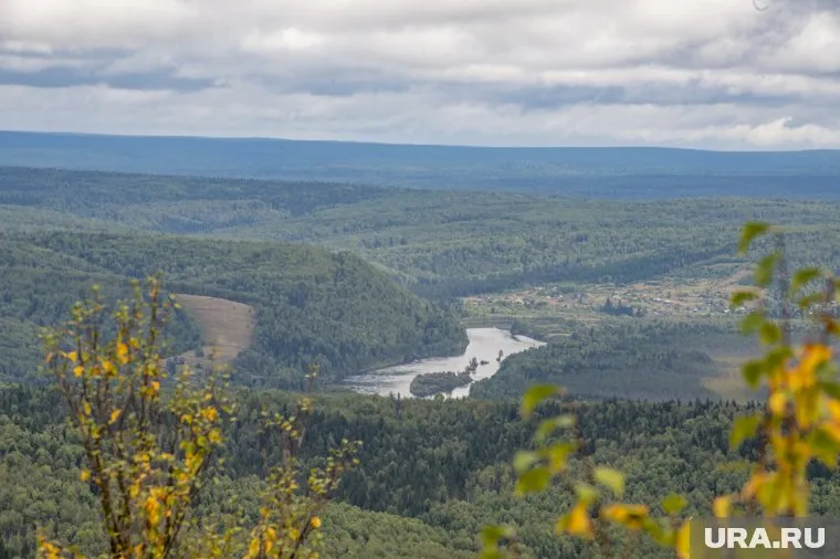 Чтобы потушить тайгу не хватит техники