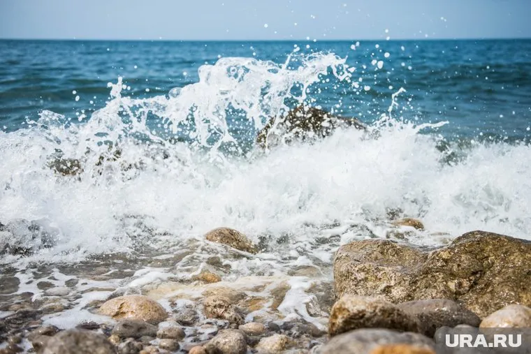 На судне «Арвин» находились 13 членов экипажа из России