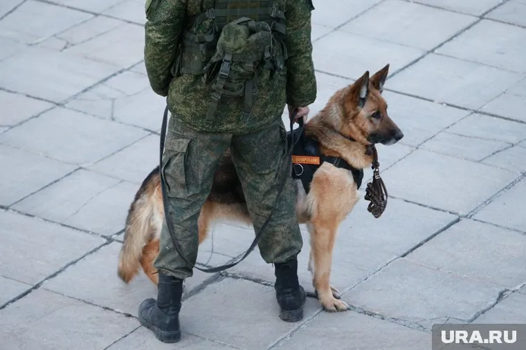 В Москве эвакуирован торговый центр из-за предмета с проводами