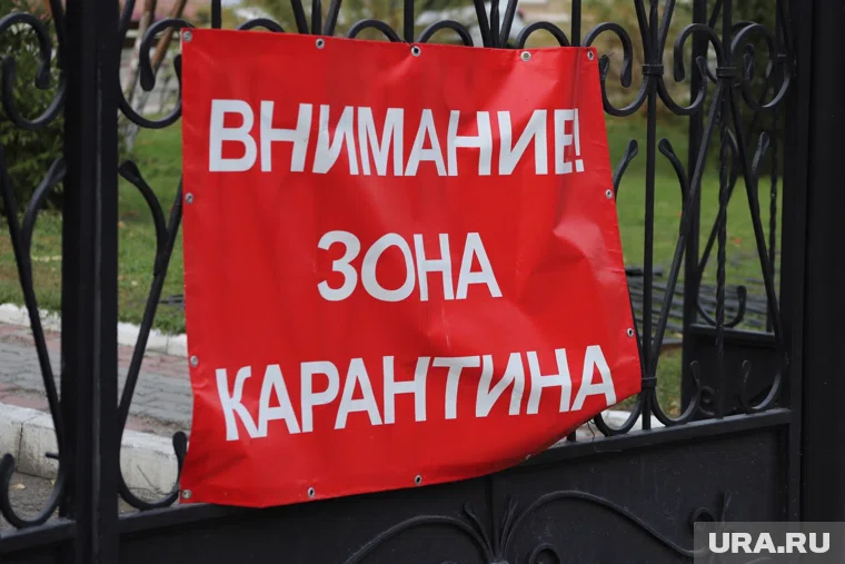Карантин объявлен с 13 октября