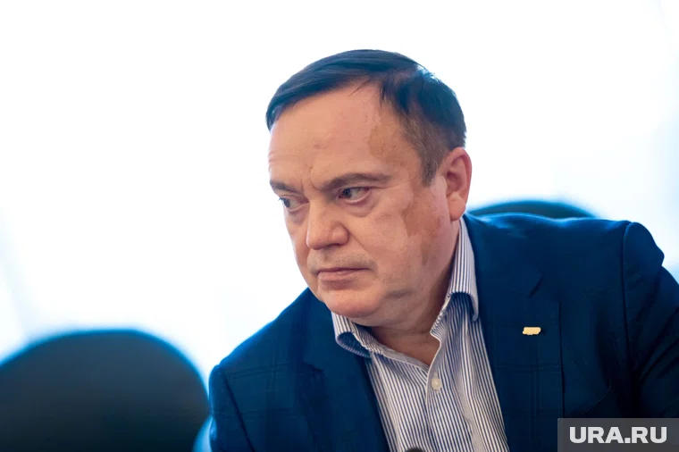 Депутат сообщил о новых мерах по делу о нападении собак в Перми