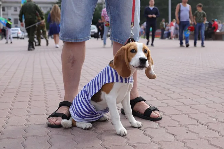 День ВДВ. Екатеринбург