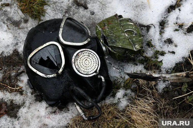 Миротворцы будут следить за порядком в Казахстане