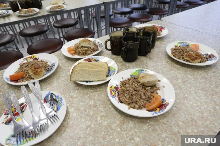 По словам жительницы, причинами дефицита мяса стали заболевание птицы и закрытие птицефабрик