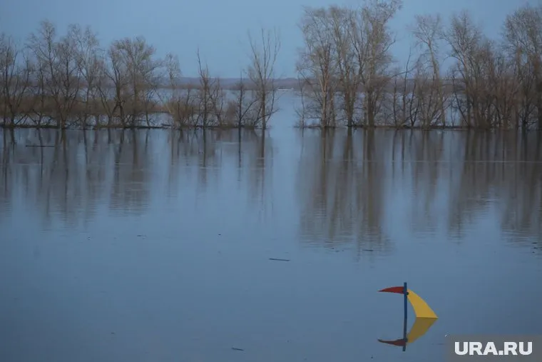 Уровень воды в Ишиме снова вырос