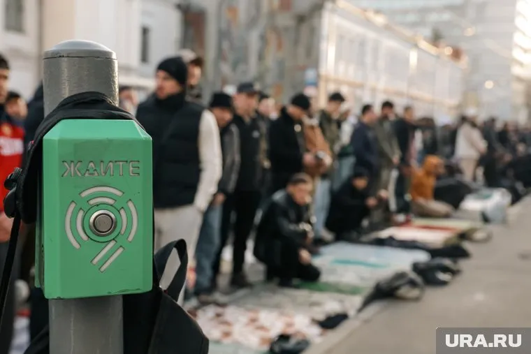 Среди мигрантов наблюдается снижение преступности, заявил Колокольцев