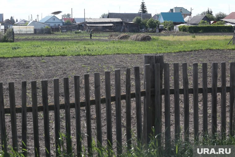 Как вернуть землю, захваченную соседями: список документов, способы возвращения участка