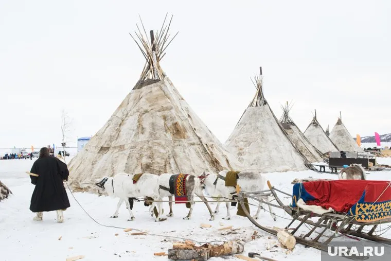 Ямал удивит молодежь павильоном с чумами