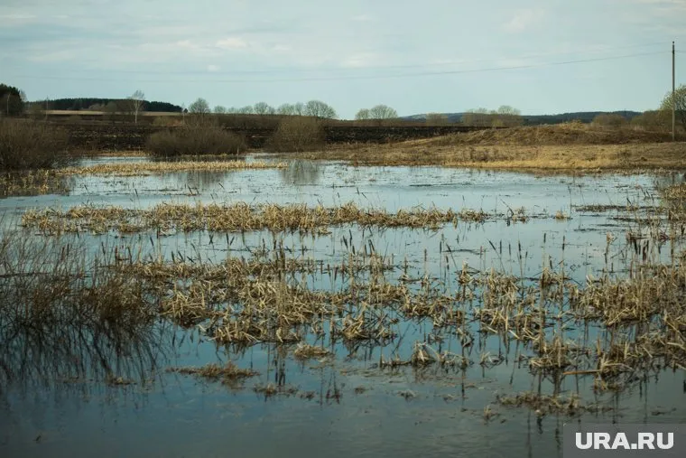 Компания «Ростелеком» чуть не лишилась техники, прокладывая интернет в деревню ХМАО
