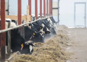 В России определили лучшего молодого предпринимателя страны